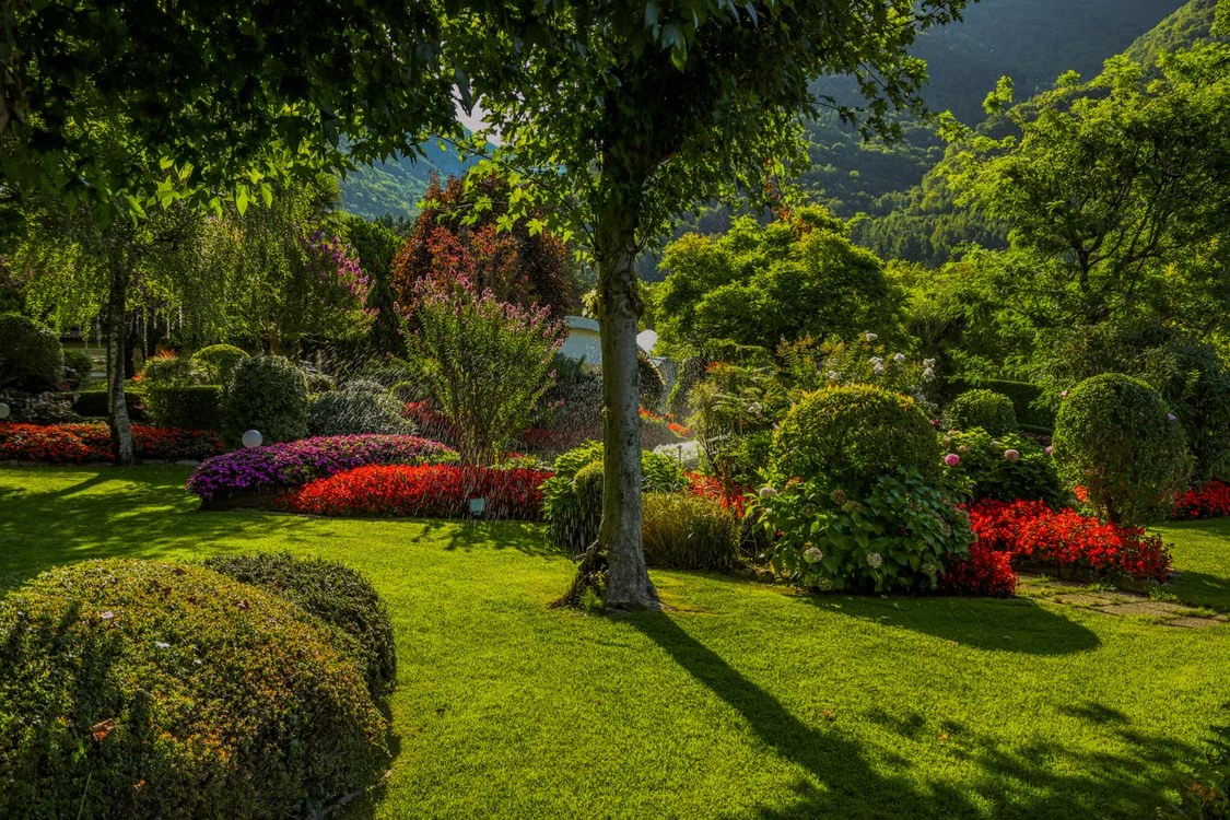 Jardin verdoyant et fleuri en été