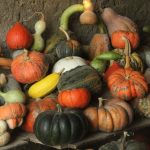 Variétés de courges